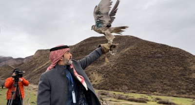 نادي الصقور السعودي ينفذ المرحلة الأولى للإطلاق الخارجي في قيرغيزستان