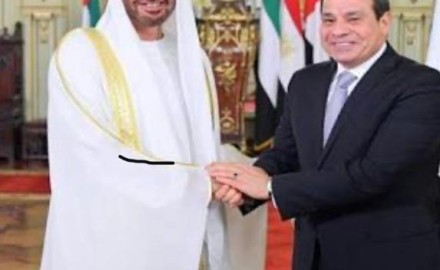 الإمارات تعلن تضامنها مع مصر
