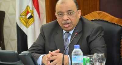“شعراوي”: محافظات المرحلة الثانية تنهي استعداداتها للانتخابات البرلمانية