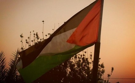 «فلسطين» تحذر المجتمع الدولي من خطورة المرحلة الحالية