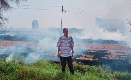 نائب رئيس مركز ومدينة دكرنس يقوم بتحرير محضر حرق قش الأرز بديمشلت
