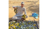 بسام أبو غباره يوضح الفوائد الصحية لصيد الأسماك