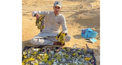 بسام أبو غباره يوضح الفوائد الصحية لصيد الأسماك