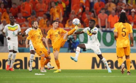 نتيجة وأهداف مباراة السنغال وهولندا في كأس العالم 2022