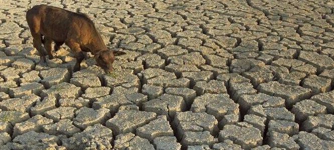 أخبار أوروبا ، الجفاف يهدد دولة بلجيكا ويثير قلق المزارعين بسبب ارتفاع درجات الحرارة