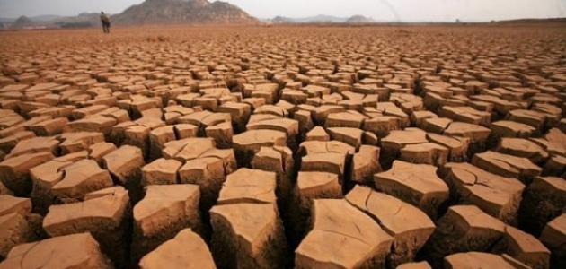 ستكون غلة المحاصيل في فرنسا "سيئة للغاية" بسبب الجفاف غير المسبوق